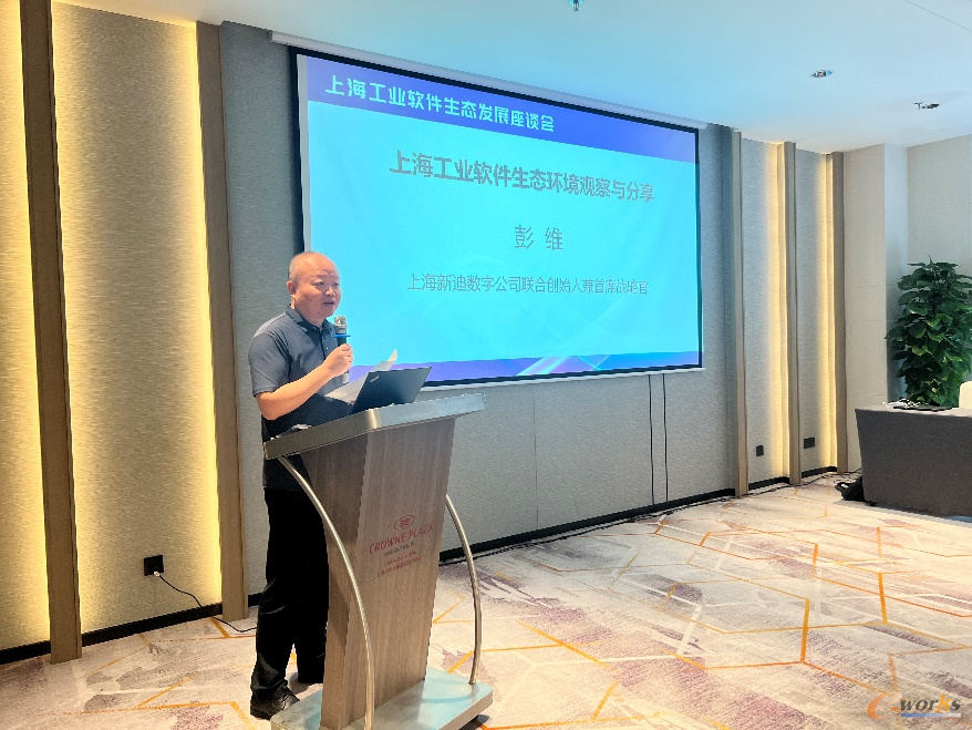 上海新迪数字公司联合创始人兼首席战略官彭维博士