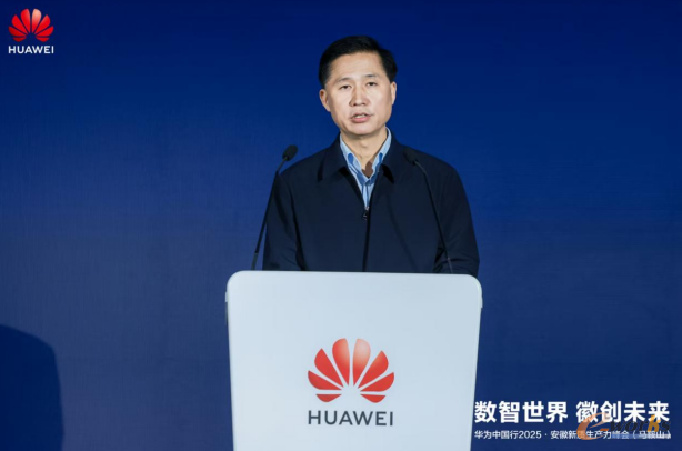 马鞍山市人民政府副市长左年文