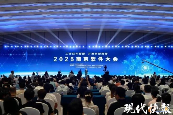2025南京软件大会现场