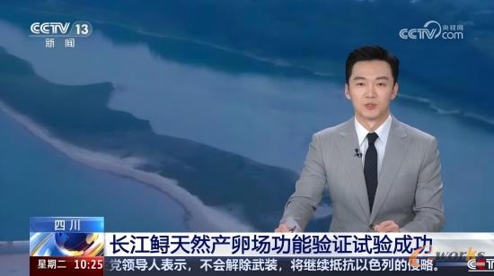 央视新闻相关报道