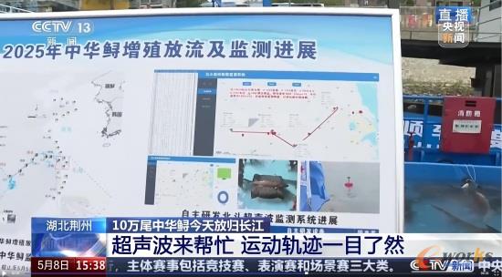 2025年试验情况
