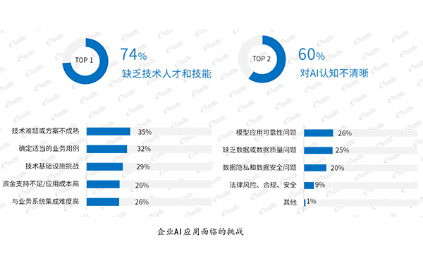 6.人才技能缺乏是企业推进AI应用的最大挑战