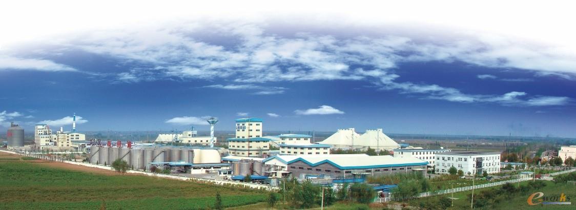 图1 山东渤海实业集团粮油加工板块——博兴加工基地
