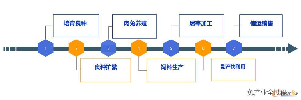 兔产业全过程