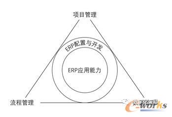 ERP应用能力的组成