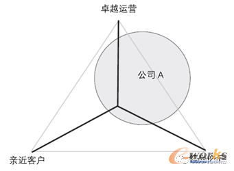 公司A的战略偏向