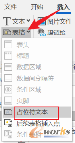 插入占位符文本