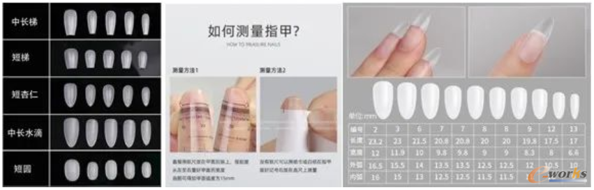 图片成品穿戴甲片基底与甲型测量