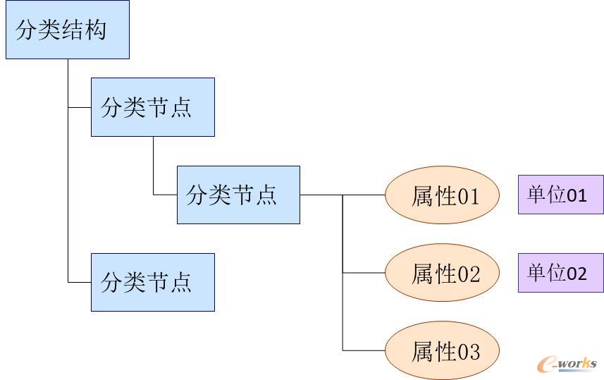 分类及分类属性