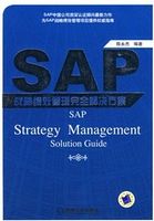 SAP战略绩效管理完全解决方案