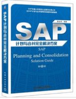 SAP计划与合并完全解决方案