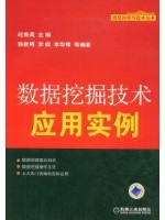 数据挖掘技术应用实例