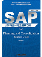 SAP计划与合并完全解决方案
