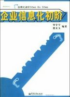 企业信息化初阶