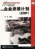 企业资源计划（ERP）
