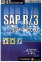 SAP— R/3技术与实现