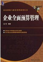 企业全面预算管理