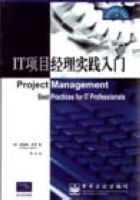 IT项目经理实践入门