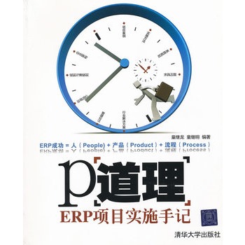 P道理——ERP项目实施手记