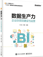 数据生产力：企业BI项目建设与运营