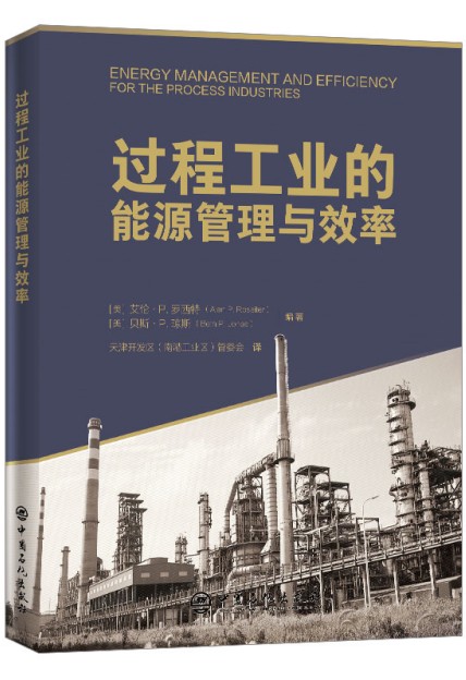 过程工业的能源管理与效率