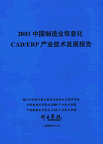 企业信息化征文选