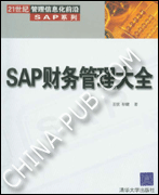 《SAP财务管理大全》