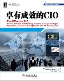 商务智能与信息化技术丛书：卓有成效的CIO
