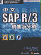 中文SAP—R/3销售与分销