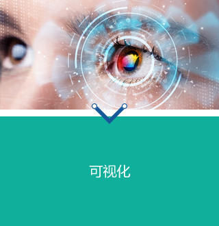 可视化