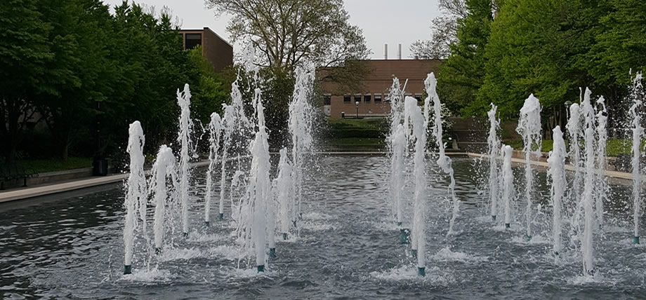 密西根大学