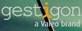 Gestigon