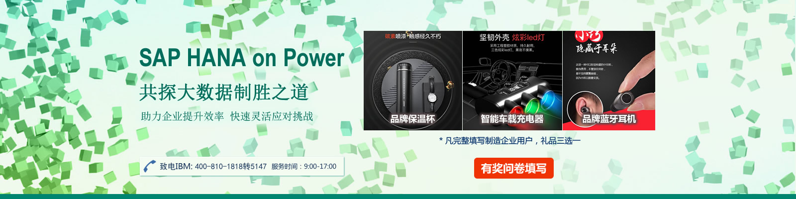 IBM针对SAP企业服务器使用情况调查问卷