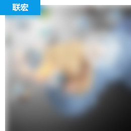 联宏