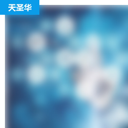 天圣华