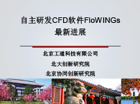 自主研发CFD软件FloWINGs最新进展