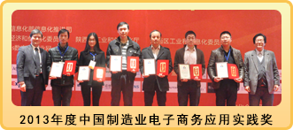 2013年度中国制造业电子商务应用实践奖