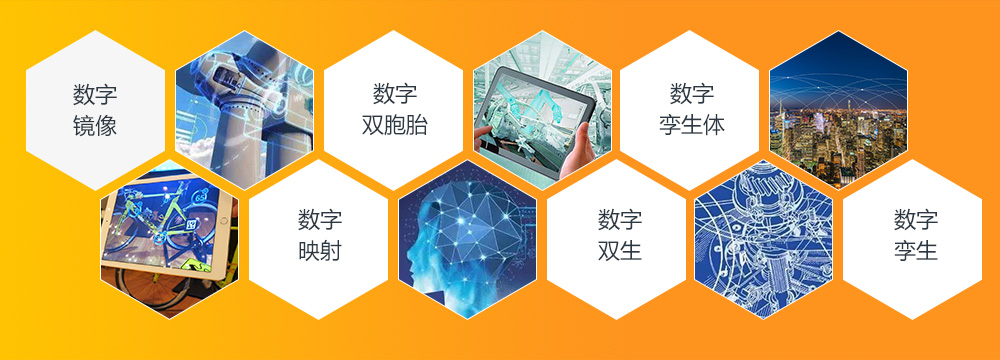 Digital Twin 词义辨析