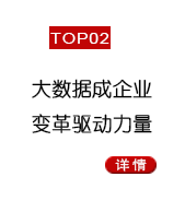 大数据成企业变革驱动力量