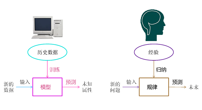 模型结构