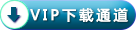 VIP下载通道