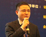 新迪数字业务拓展总监 刘红政