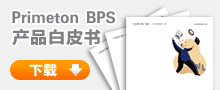 Primeton BPS ƷƤ