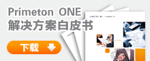 Primeton ONE ƷƤ