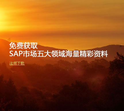 SAP ҵר  