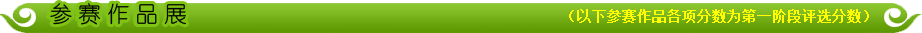 参赛作品